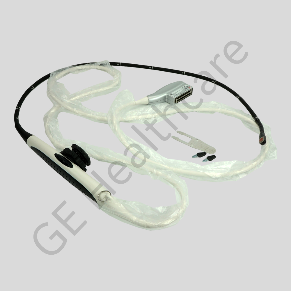 Transdutor Transesofágico 6Tc-RS Transdutor Transesofágico 6Tc-RS